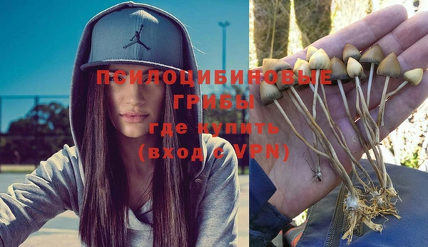 молекула духа Ахтубинск