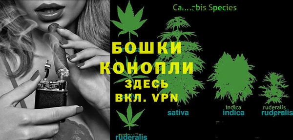 МДПВ Гусиноозёрск