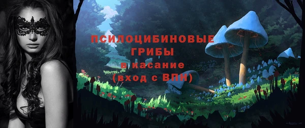 альфа пвп Гусь-Хрустальный