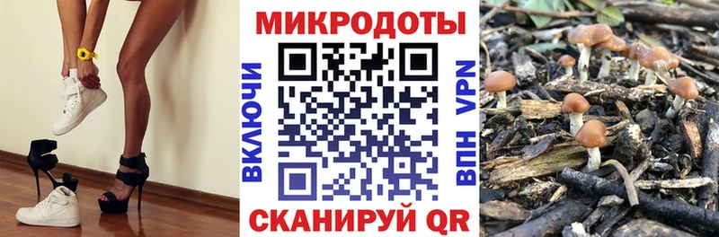 где найти   Дятьково  маркетплейс телеграм  Галлюциногенные грибы Cubensis 