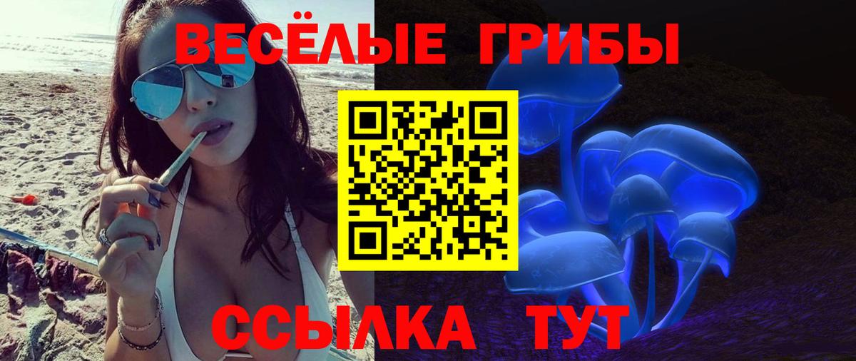 Галлюциногенные грибы GOLDEN TEACHER Дятьково