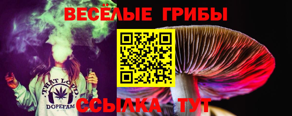 Псилоцибиновые грибы GOLDEN TEACHER  Вход с VPN  Дятьково 